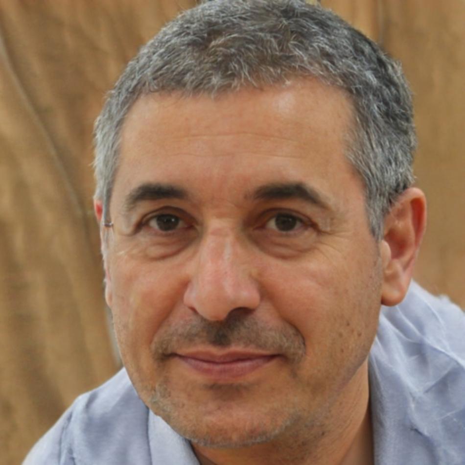 Domokos Frigyes portréja